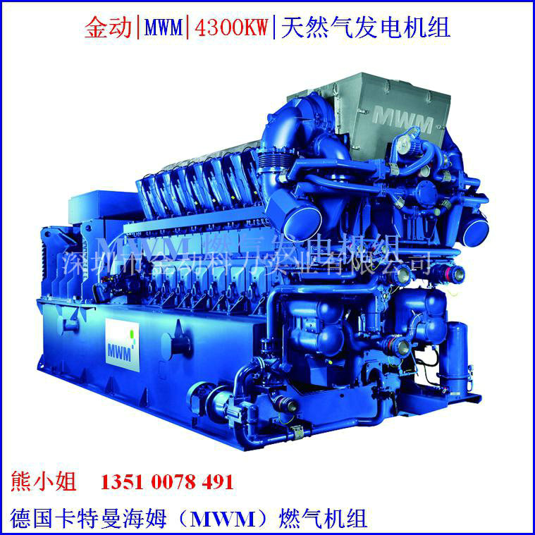 【出口氣體發(fā)電機(jī)】深圳金動(dòng)助力電力市場