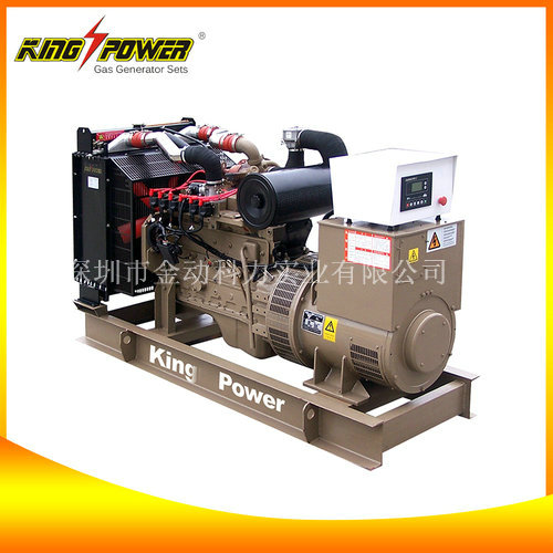 【頁巖氣發(fā)電機廠家】“能源”代表著實力！