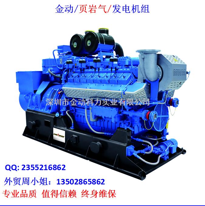 【深圳頁巖氣發(fā)電機】 發(fā)展趨勢無懈可擋！