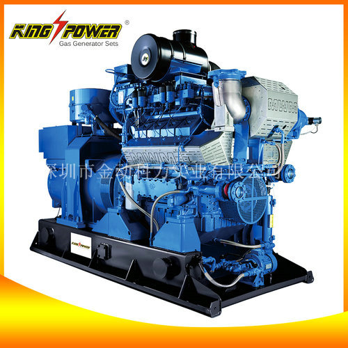 【養(yǎng)殖場(chǎng)沼氣發(fā)電機(jī)】拒絕臭不可聞的養(yǎng)殖場(chǎng)！