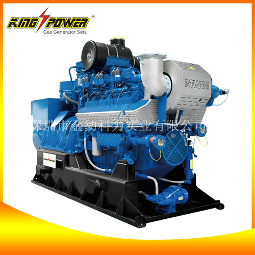 【生物質(zhì)氣發(fā)電機(jī)生產(chǎn)商】世界因我更干凈！